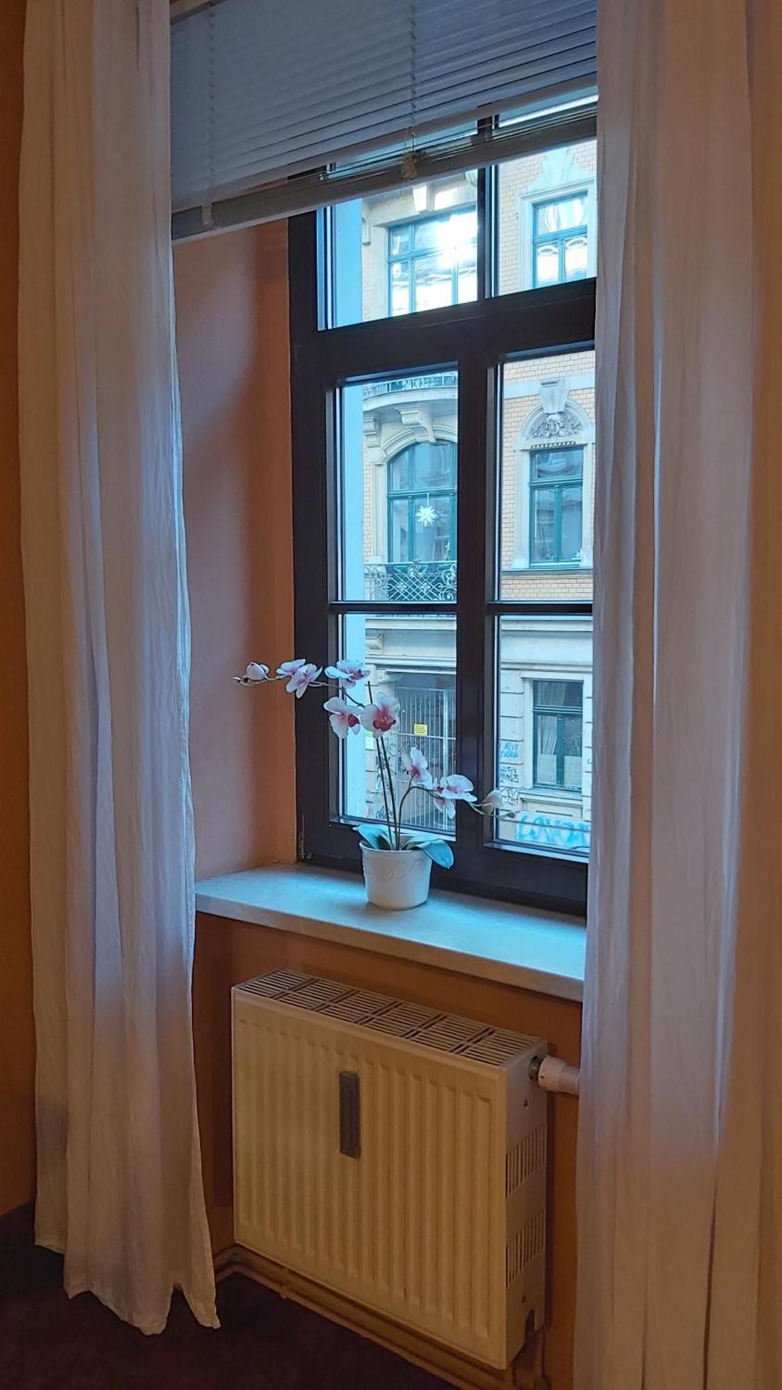 City-Ferienwohnungen-Dresden - Zentral Gelegen Im Haus Louisenstrasse 11 - Dresden-Neustadt Luaran gambar
