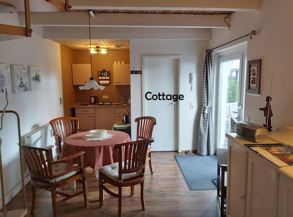 City-Ferienwohnungen-Dresden - Zentral Gelegen Im Haus Louisenstrasse 11 - Dresden-Neustadt Luaran gambar